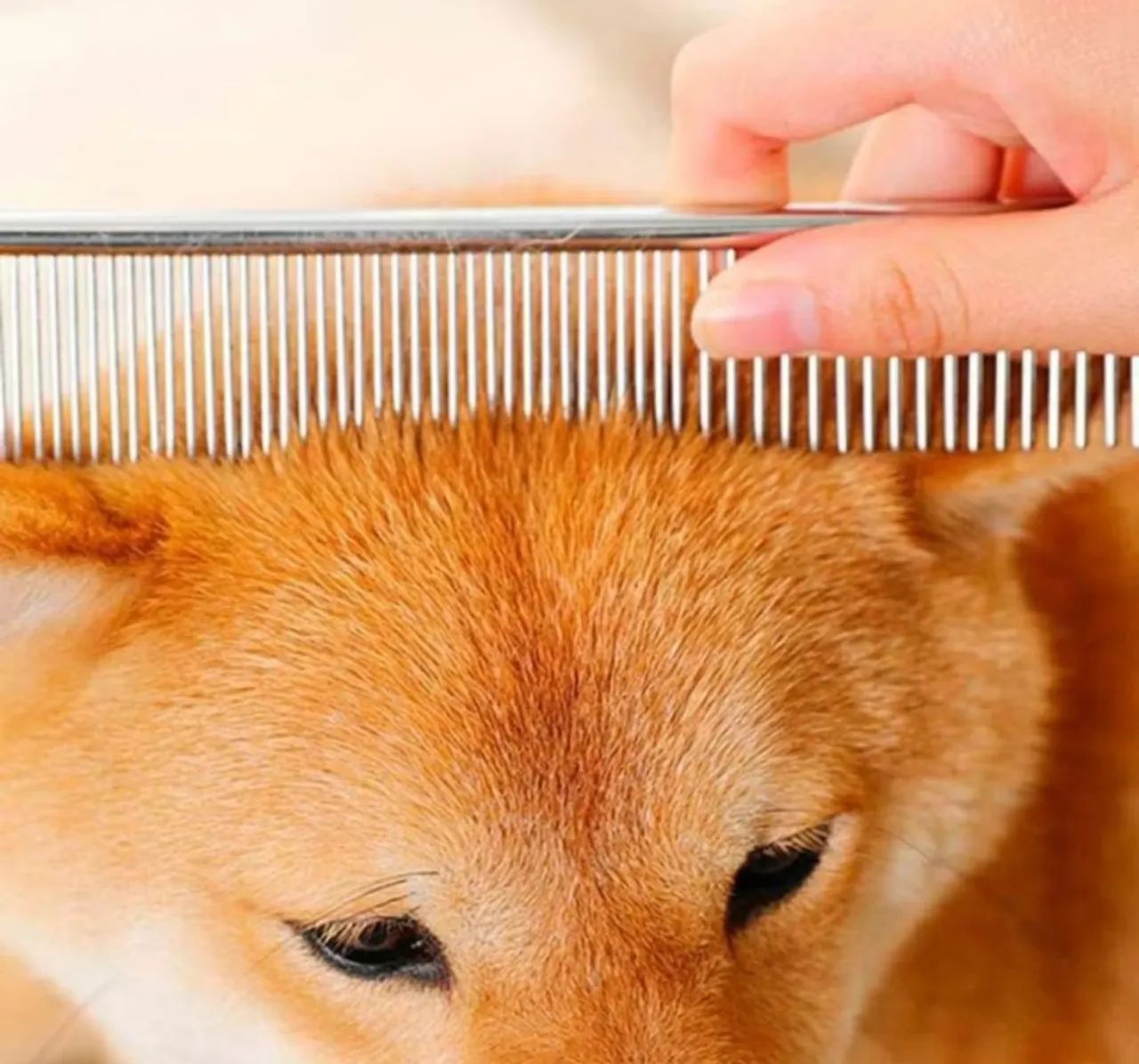 Pente de Aço para Banho Pet Shop para Cachorro Cães Gatos - Foto 4