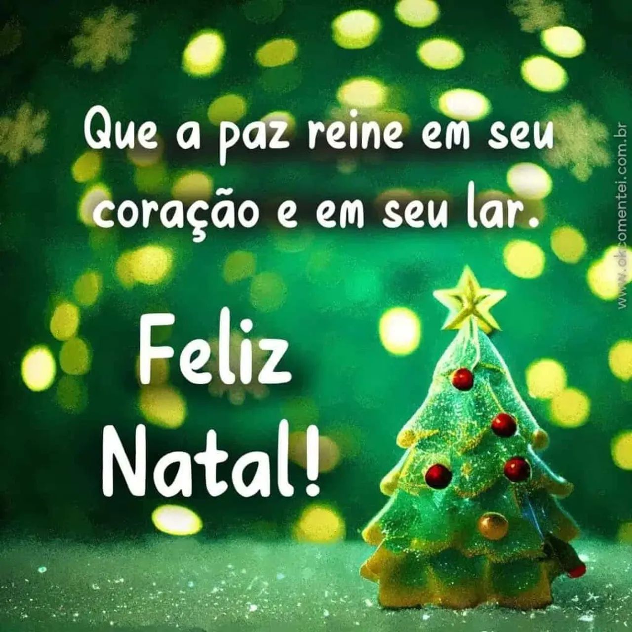 Carretinha pra motos