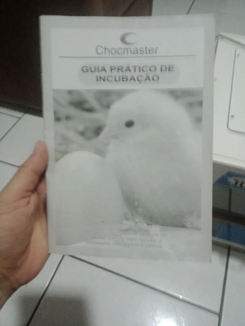 Chocadeira de ovos  - Foto 2