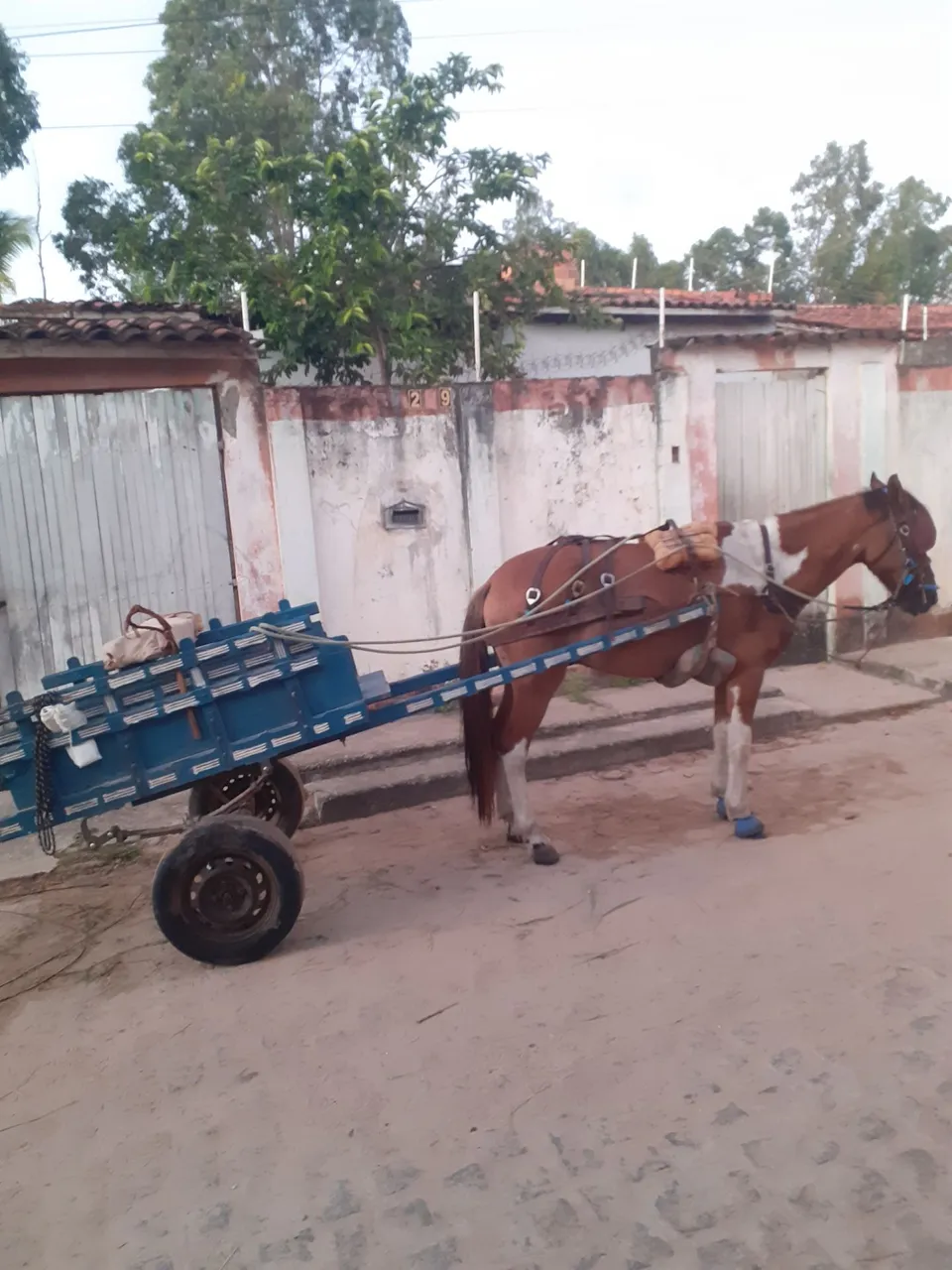 Vendo cavalo e carroça
