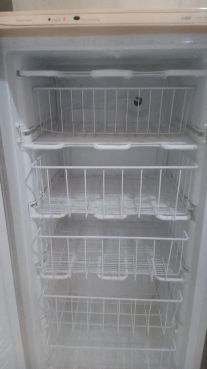 Frizer vertical  - Foto 4