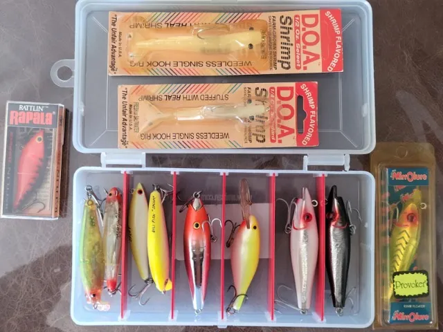 Kit de 12 iscas artificiais