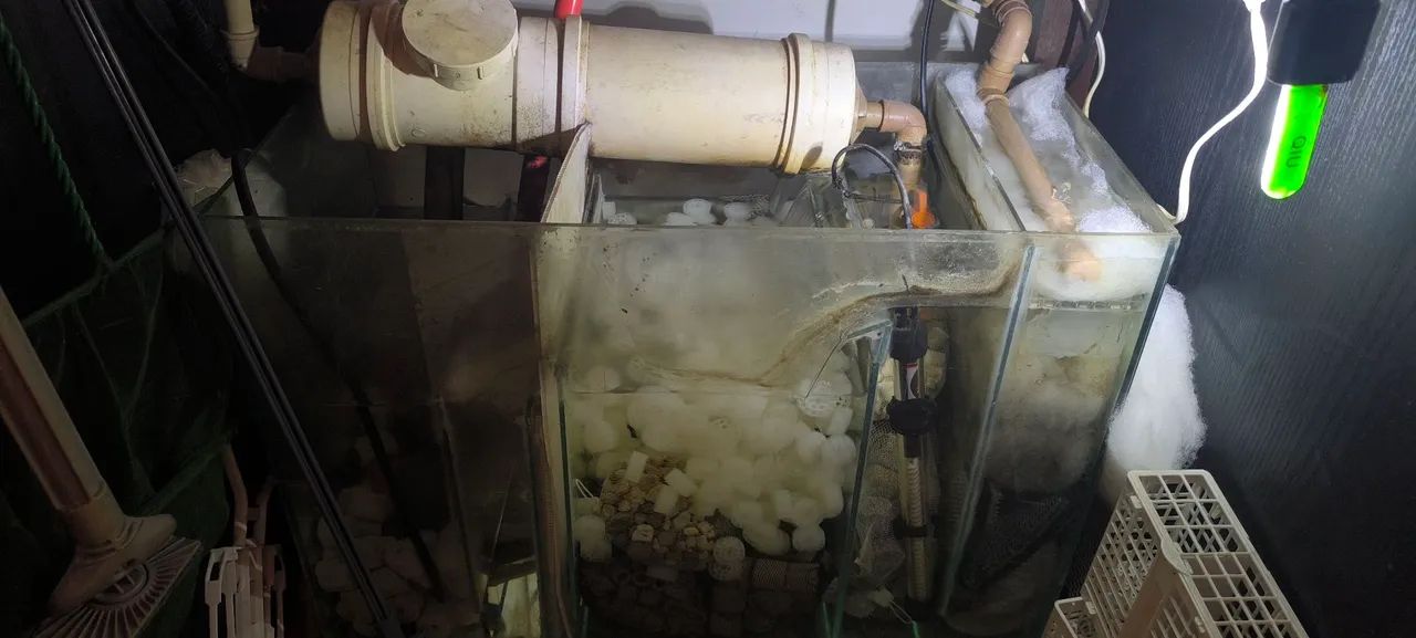 Aquário completo.  - Foto 3