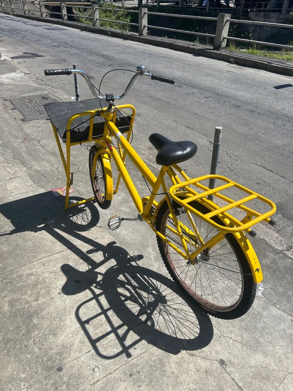 Bicicleta cargueira 