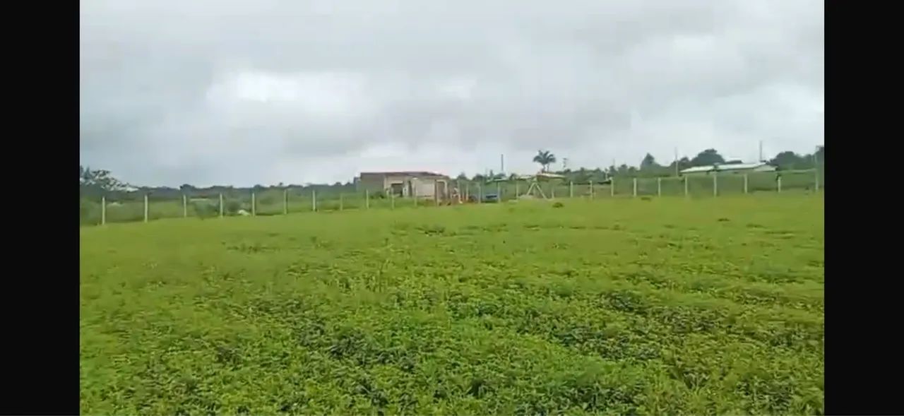 Terreno em Aldeia  - Foto 3