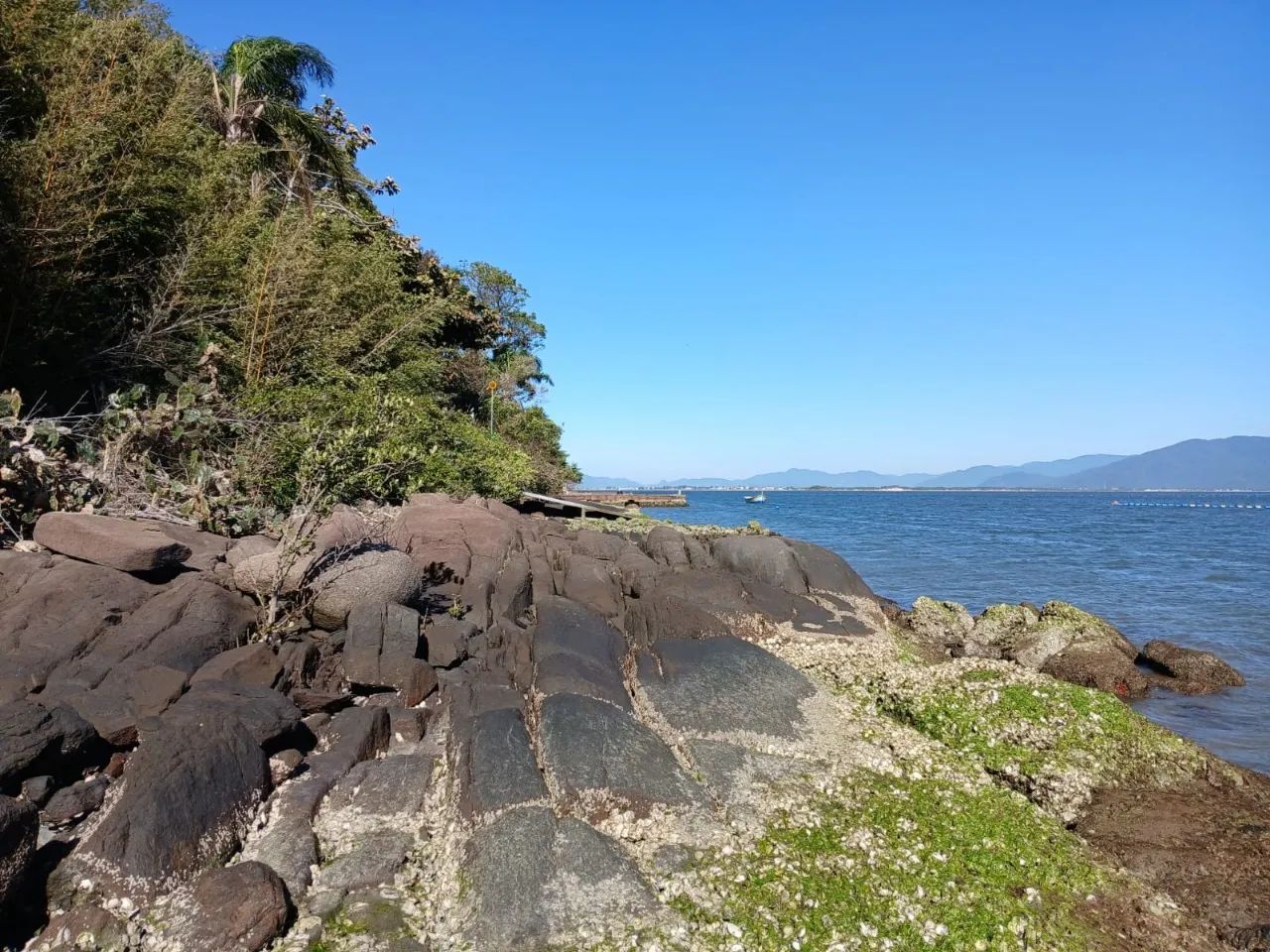 Terreno no Ribeirão da Ilha - Foto 2