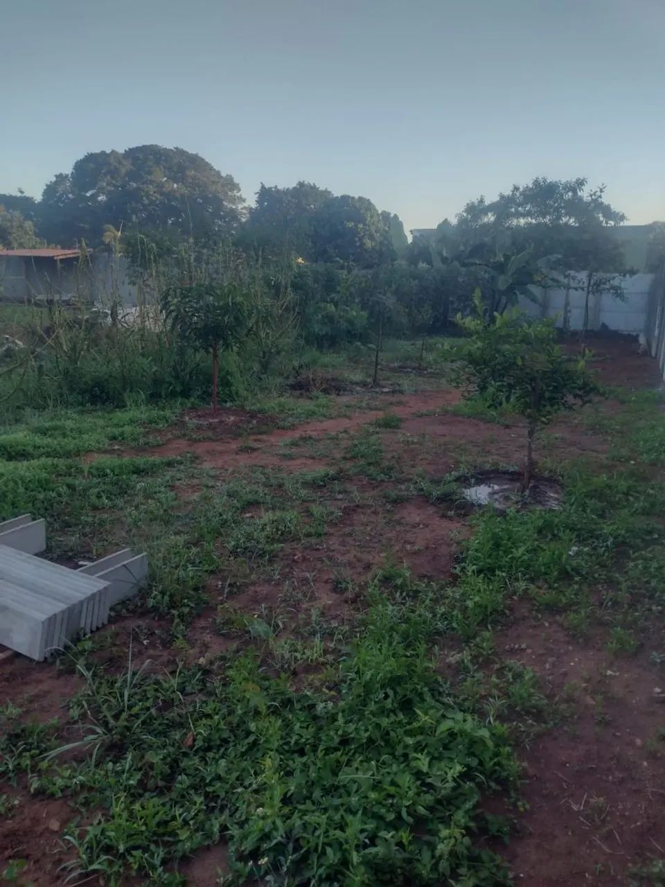 Chácara no Sairá com entrada no antigo posto Luzia  - Foto 3