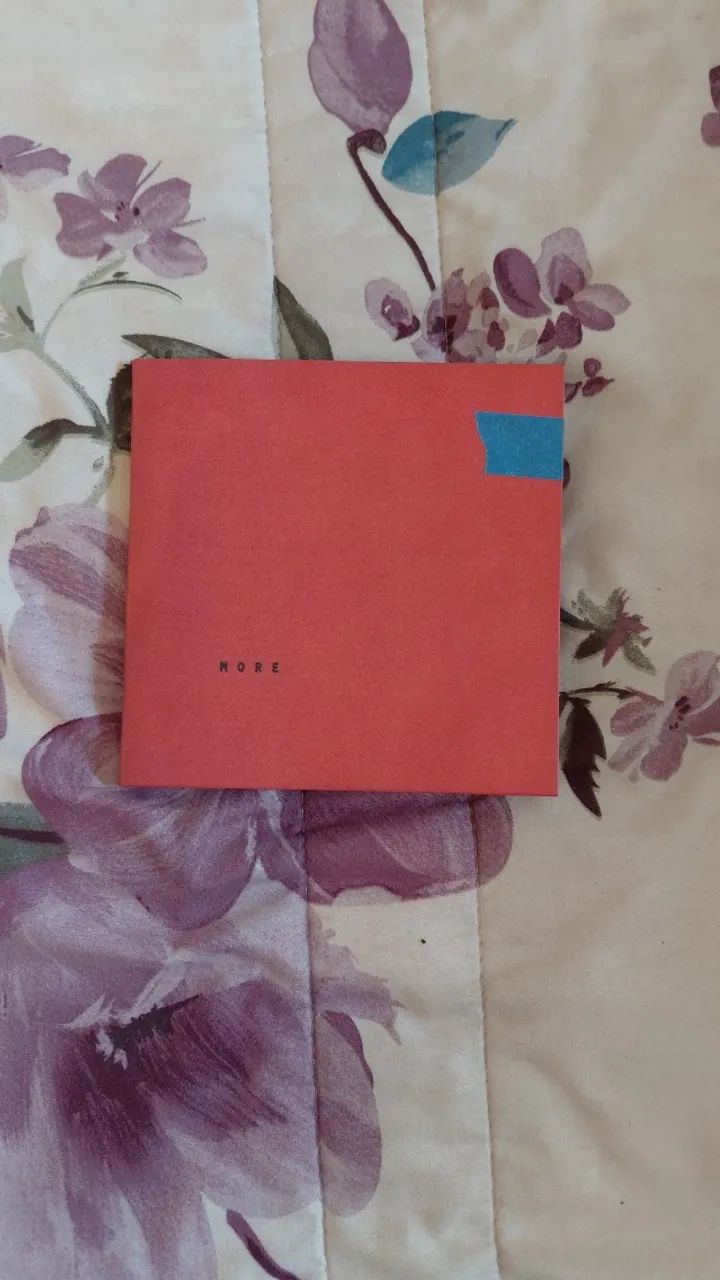 CD Wallows - More (RSD Exclusive)