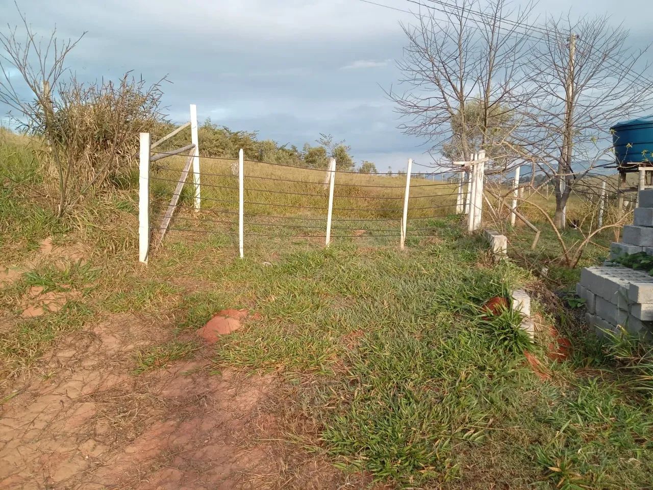 Vendo Sítio no Sul de Minas  - Foto 5