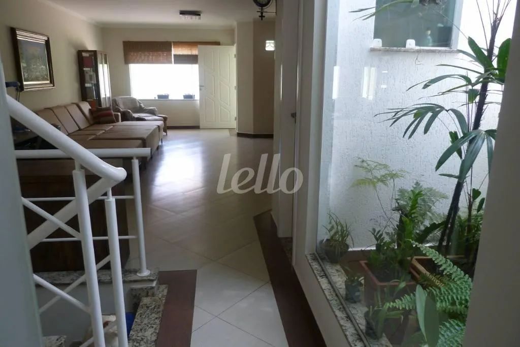 Casa 3 quartos à venda no(a) Vila Moinho Velho - Foto 5