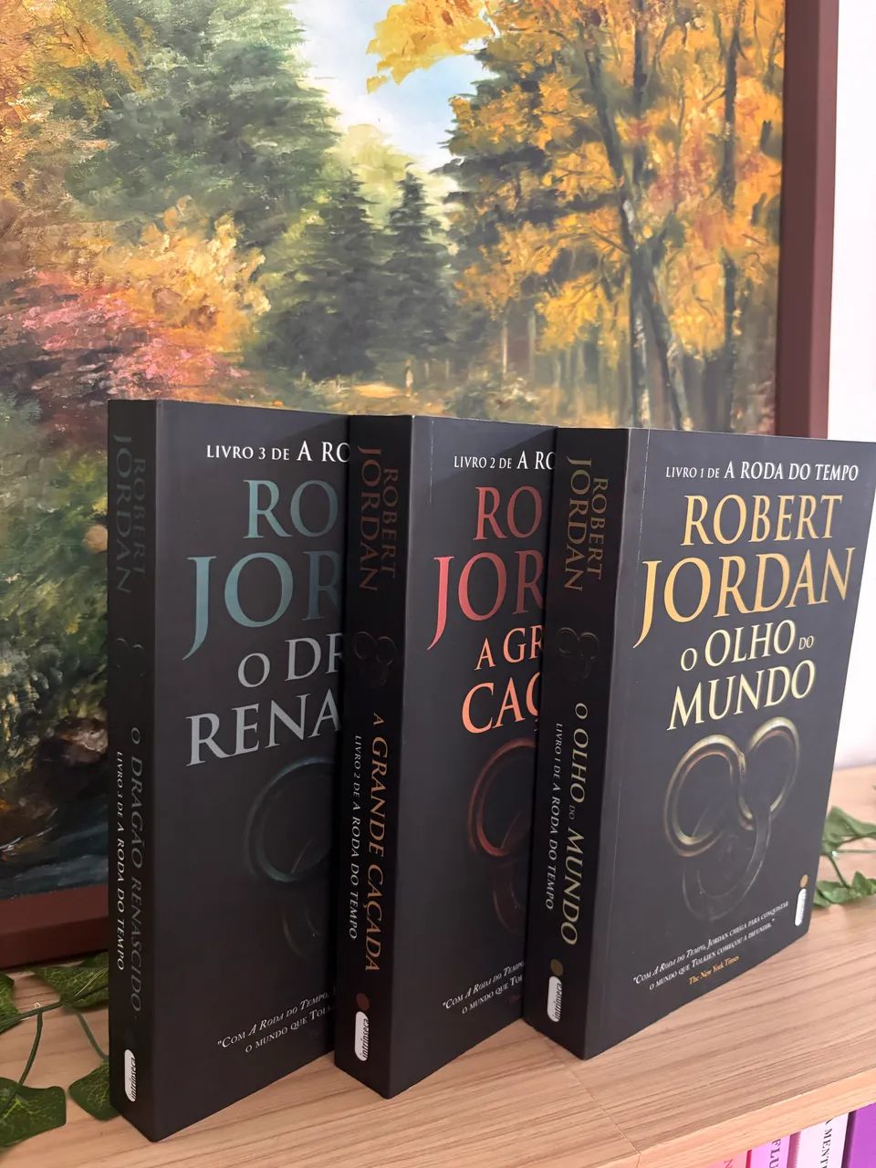 A RODA DO TEMPO - ROBERT JORDAN - Foto 2