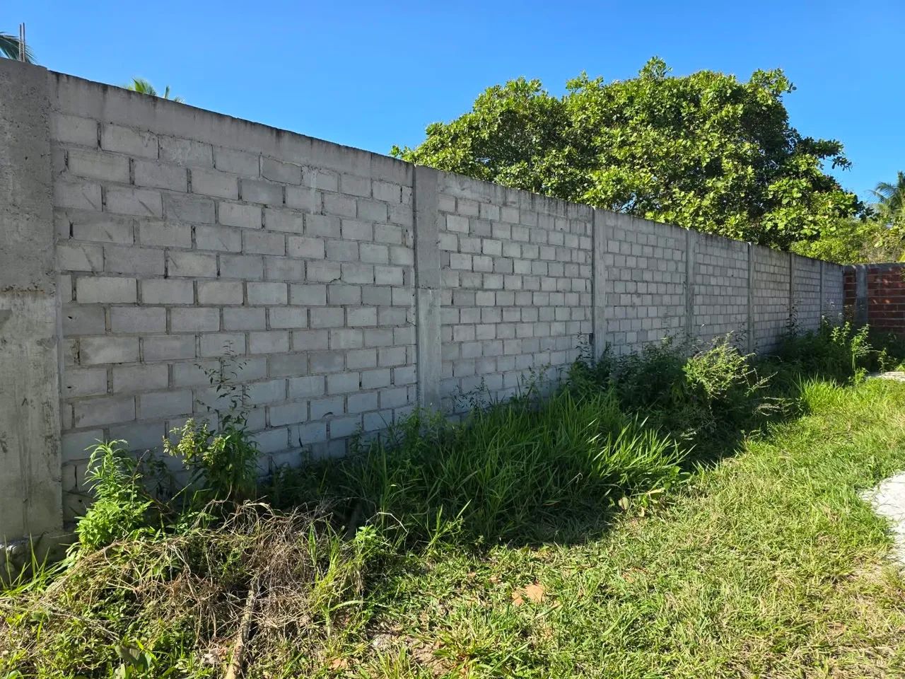 Terreno - Foto 2