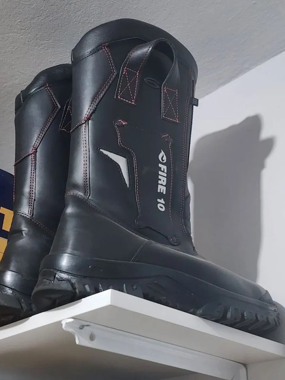 Bota