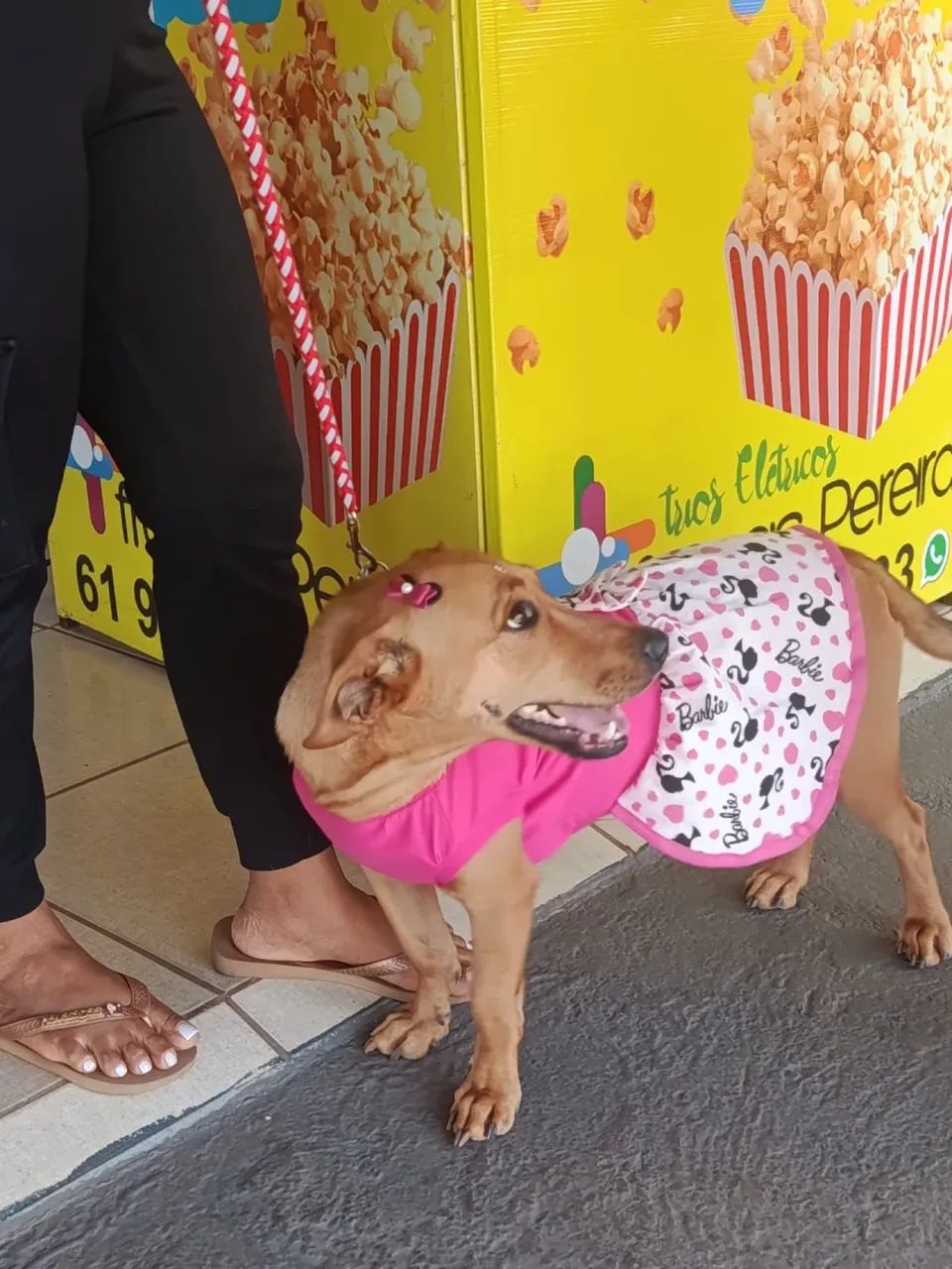 Cachorra  - Foto 4