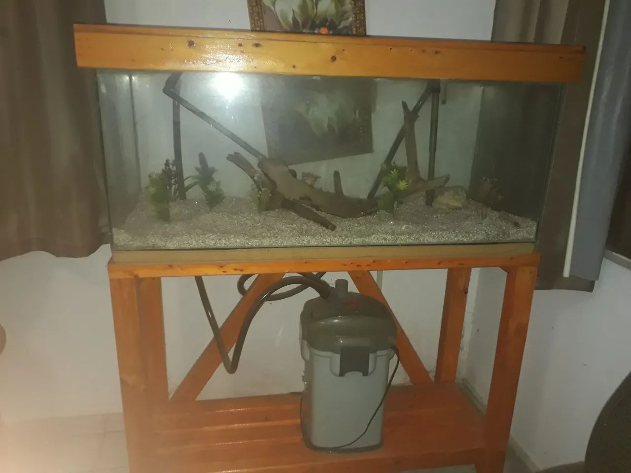 AQUÁRIO  - Foto 2