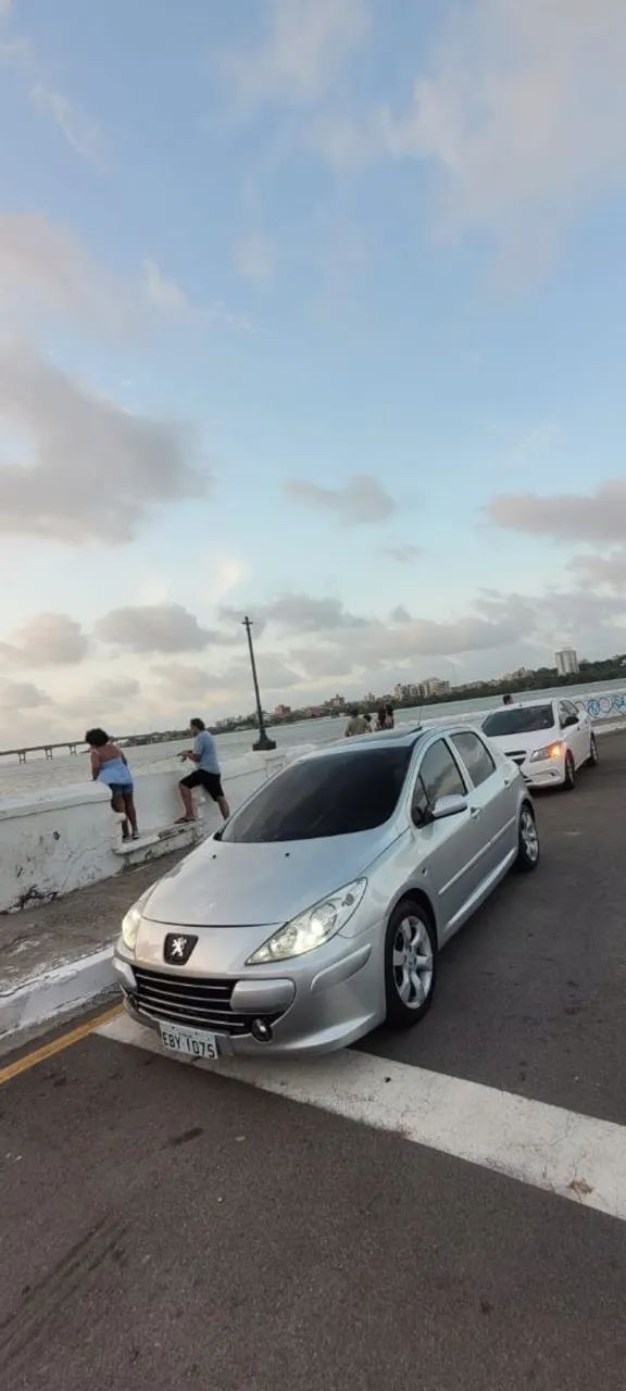 Peugeot 307 307 Soleil/ Presence 1.6/1.6 Flex 16V 5p 2009