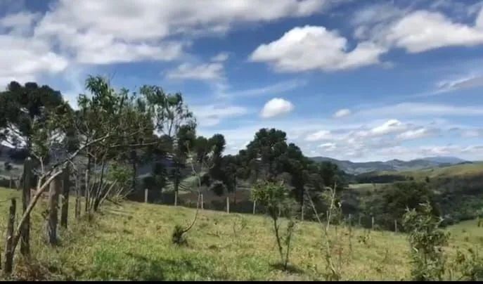 VENDO EXCELENTE TERRENO EM JOANÓPOLIS-SP  - Foto 6