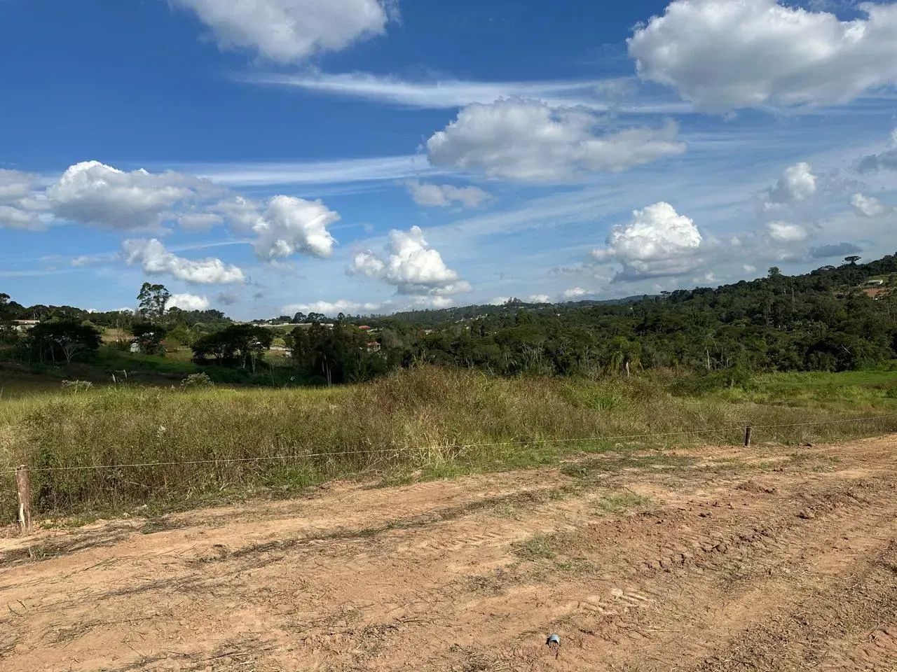 Oportunidade Que Cresce Todo Dia
