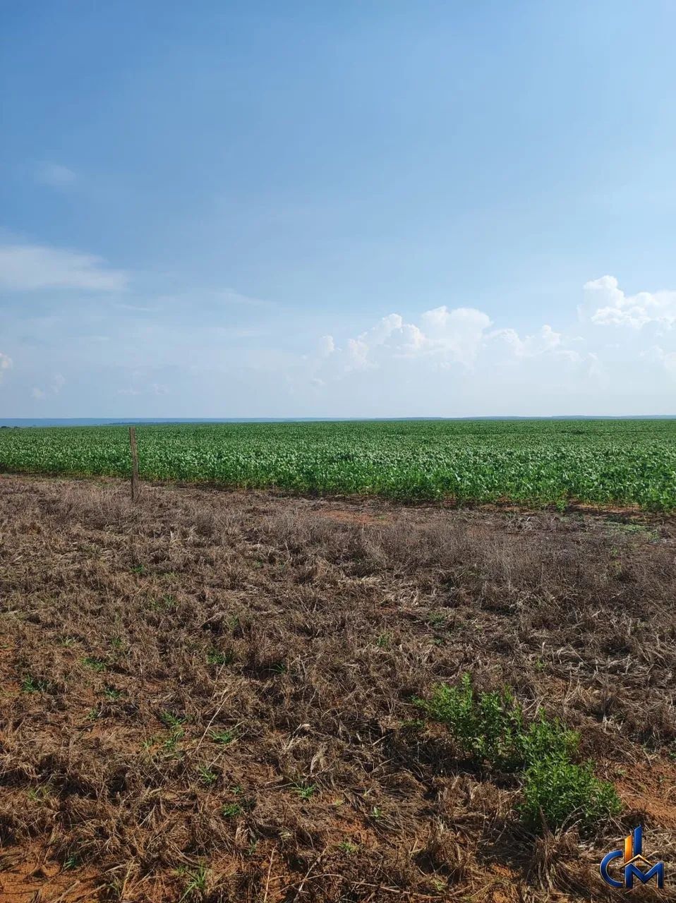 OportunidadeFazenda regiao de Tangara - Foto 5