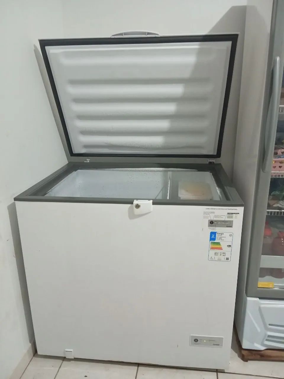 Freezer  309Lt