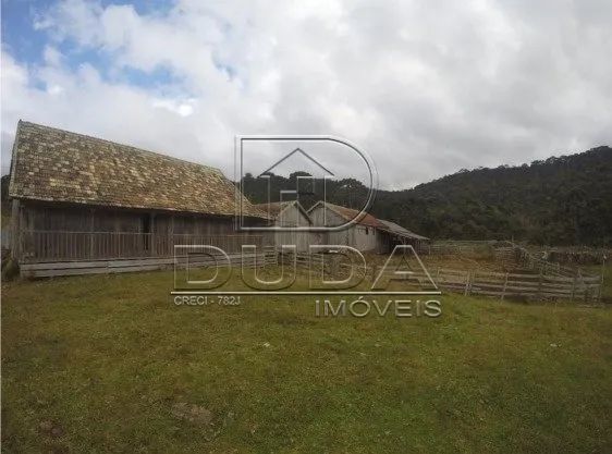 FAZENDA A VENDA - Foto 3