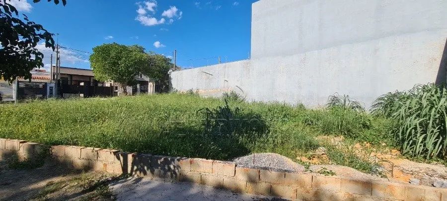 TERRENO JARDIM SANTA MARTA - Foto 5