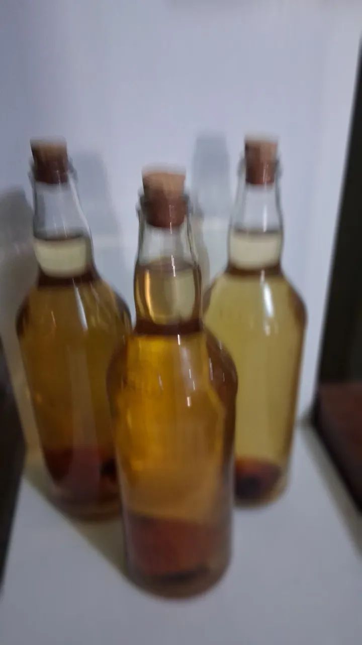 Vendo aperitivos envelhecidos com caju dentro da garrafa - Foto 2