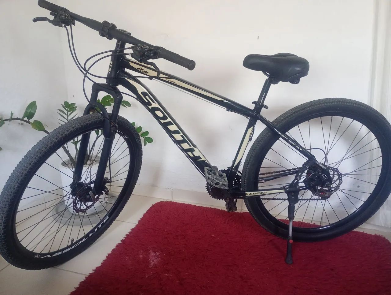 Bicicleta aro 29 