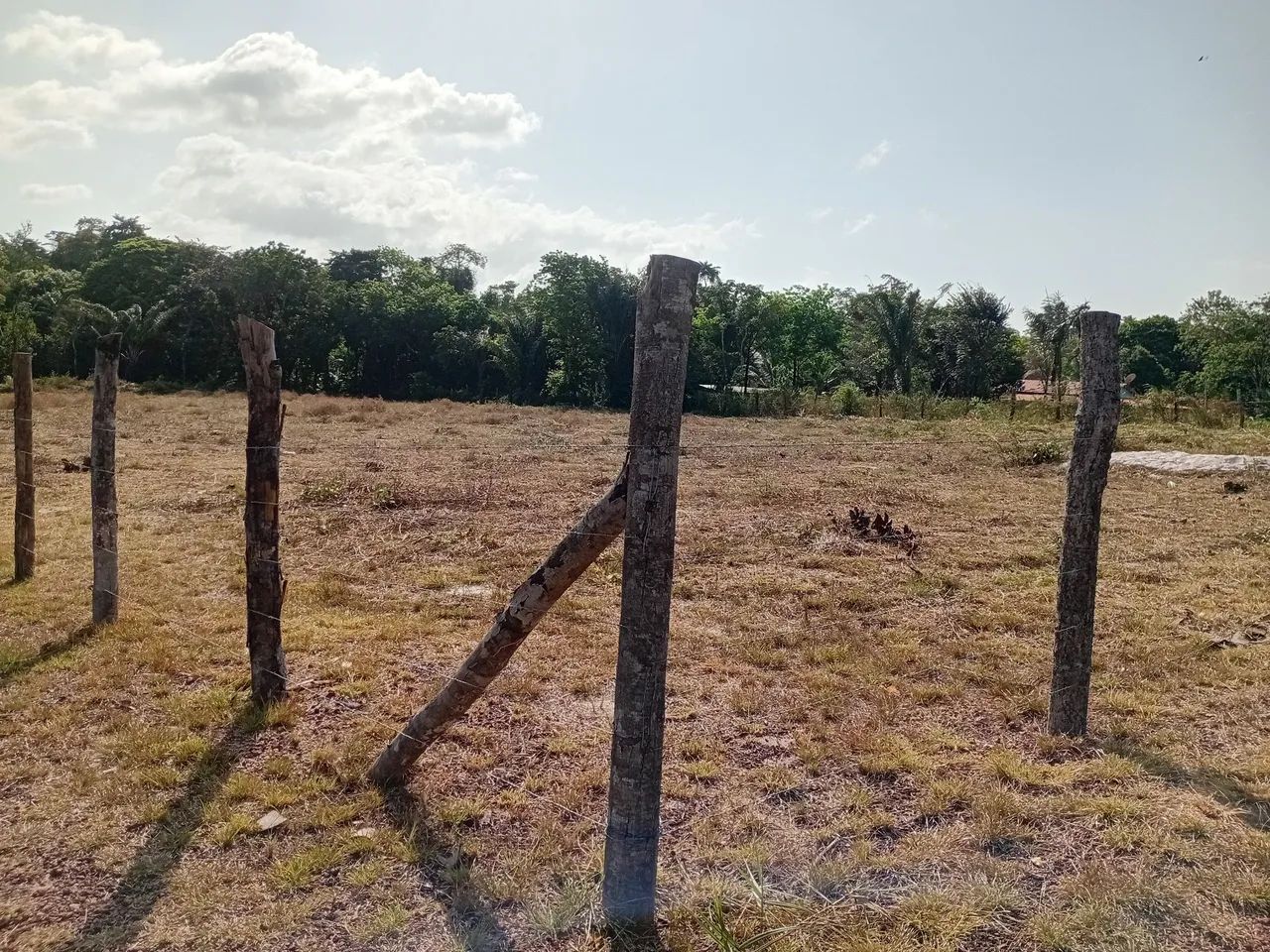 Vendo Terreno com 2 igarapé - Foto 3
