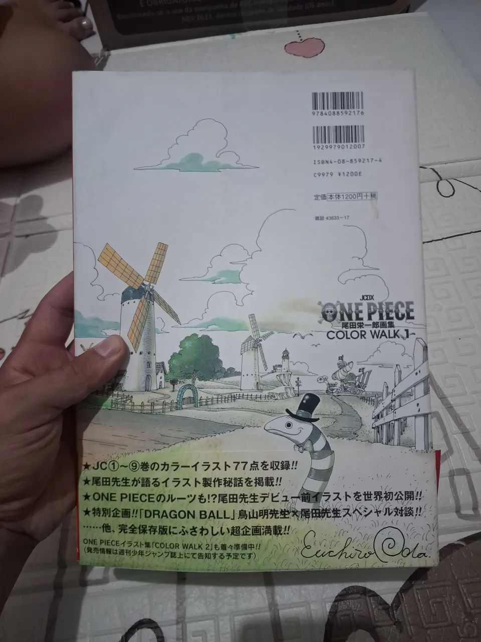 One piece color walk 1 - Foto 2