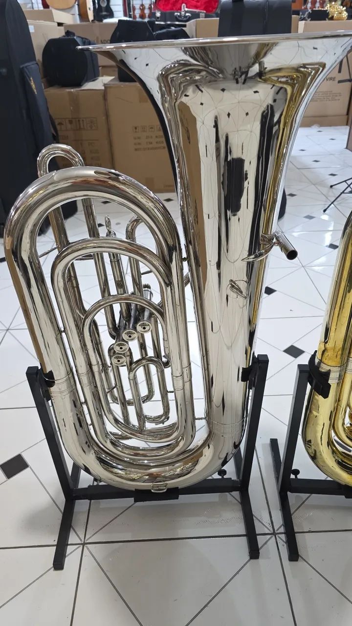 Tuba dolphin  - Foto 2