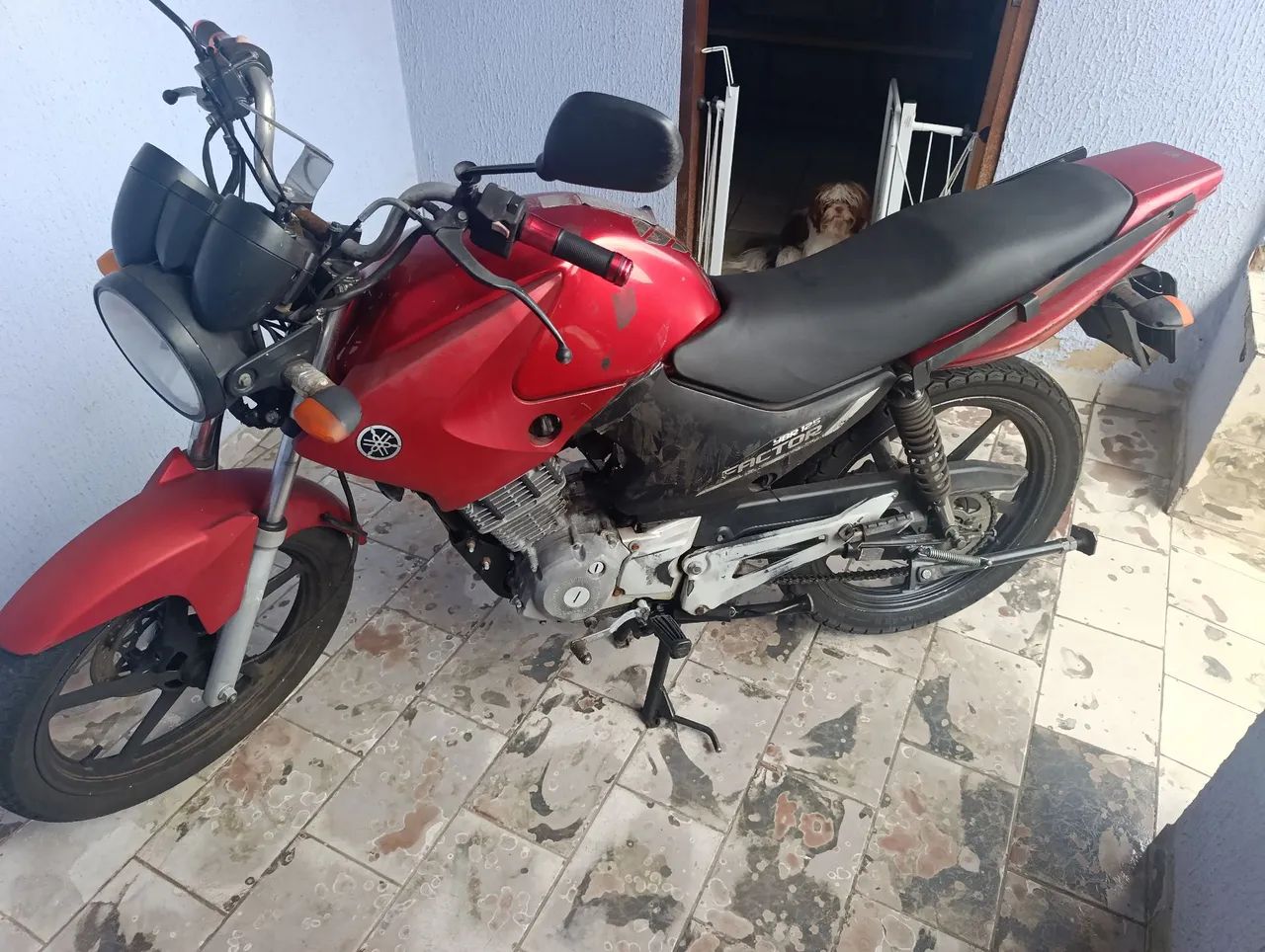 Factor 125c ED, COMPLETA - Foto 4
