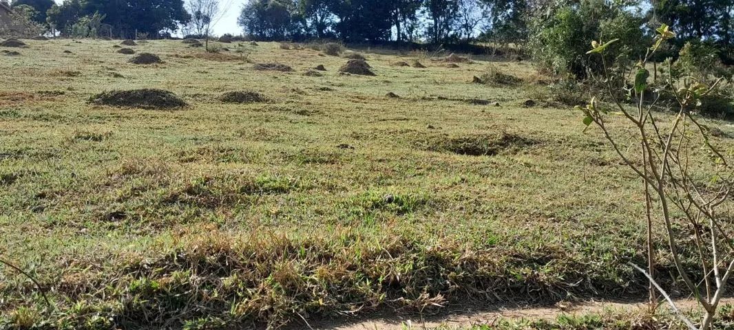 TERRENO PARA CHACARA - Foto 3