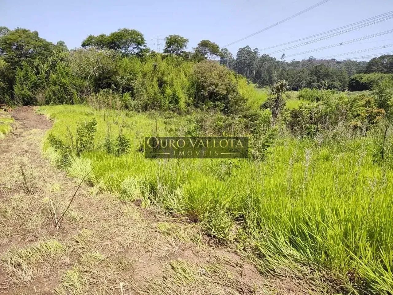 Terreno com 35000m² - Foto 2