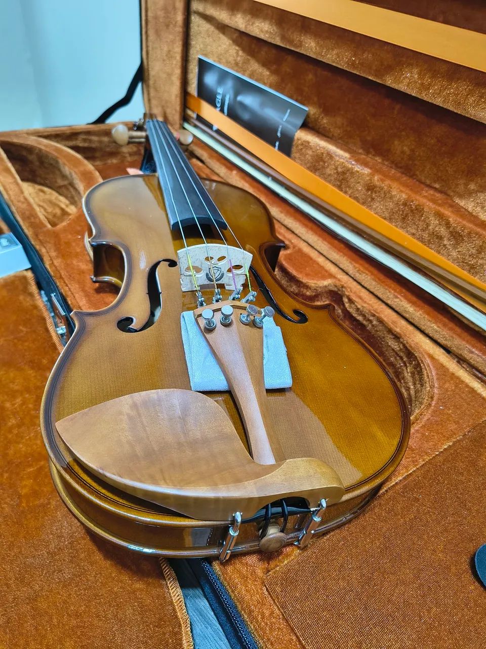 Violino Eagle VE441 Completo  - Foto 5