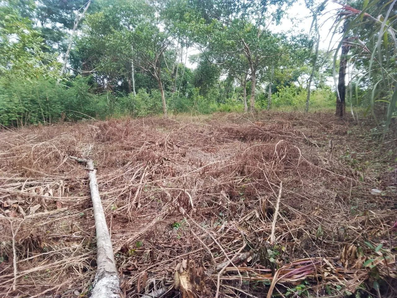 Terreno com escritura e RGI