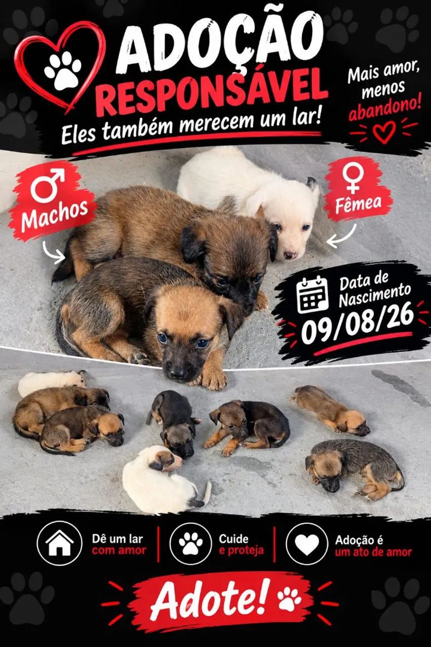 Adoção Responsável 