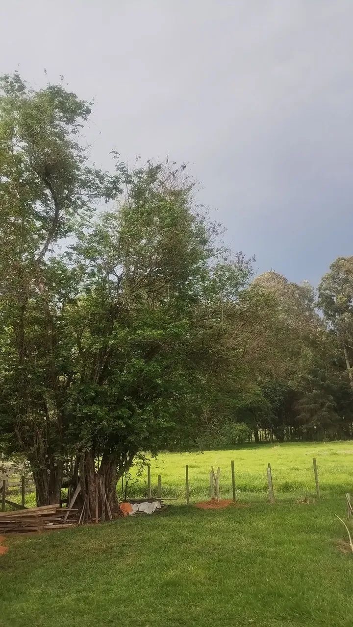 Procuro pessoa que goste e saiba plantar - Foto 3