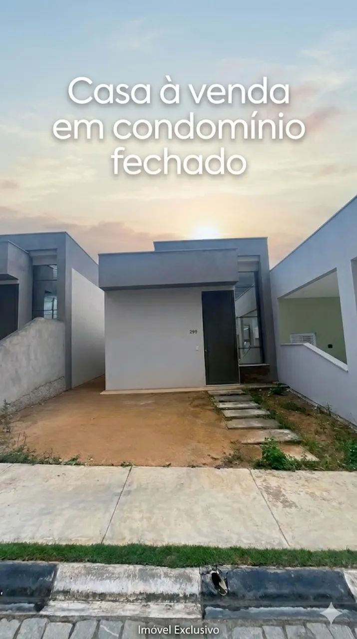 Foto - Feira de Santana - Papagaio