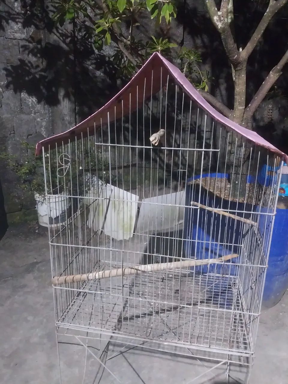 Gaiola para pássaros  - Foto 3