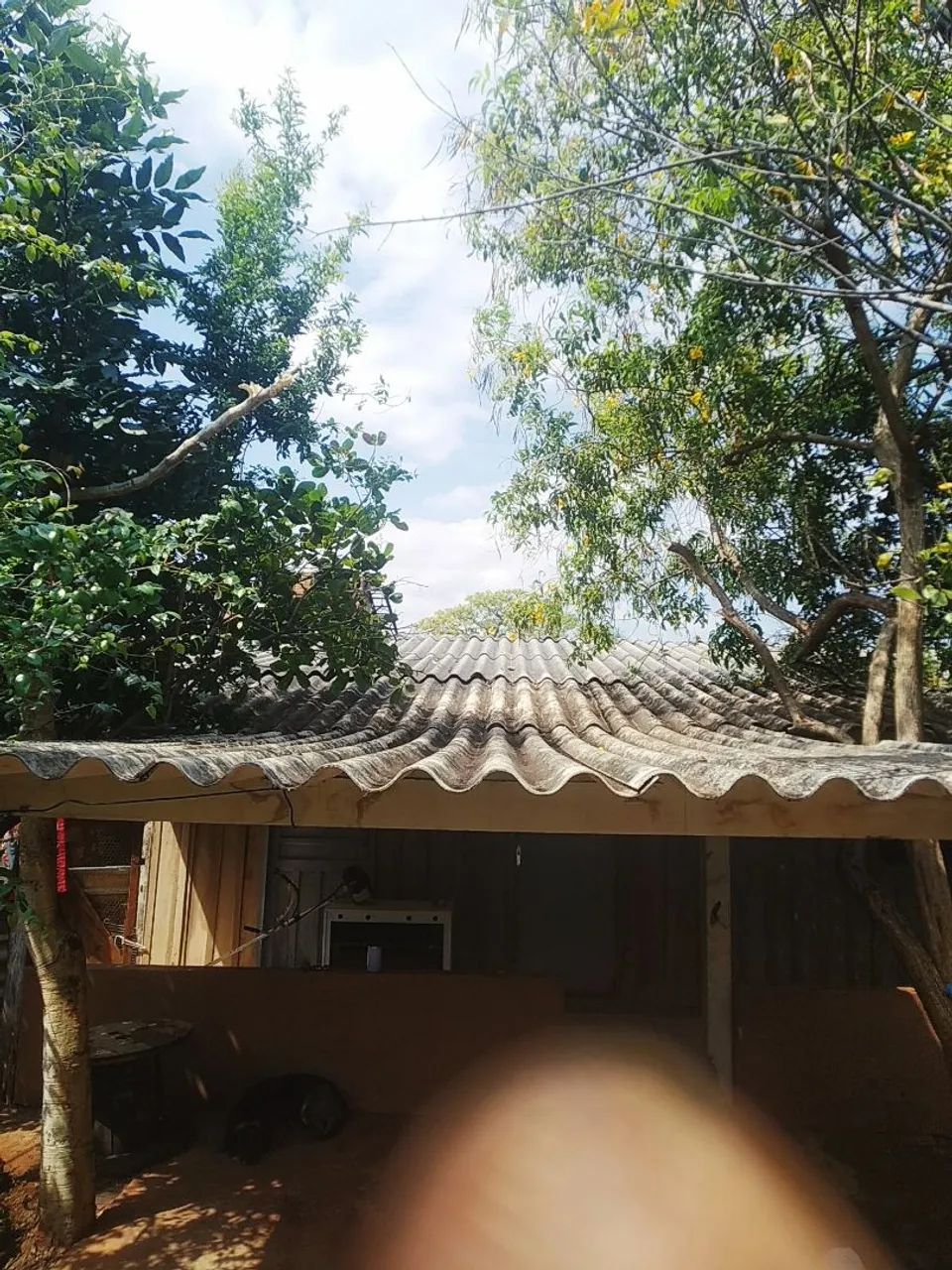 Limpeza de terreno  - Foto 4