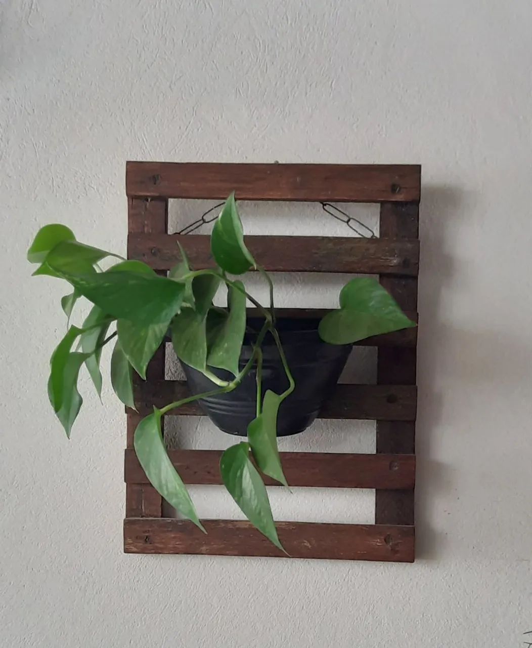 Jardim vertical 