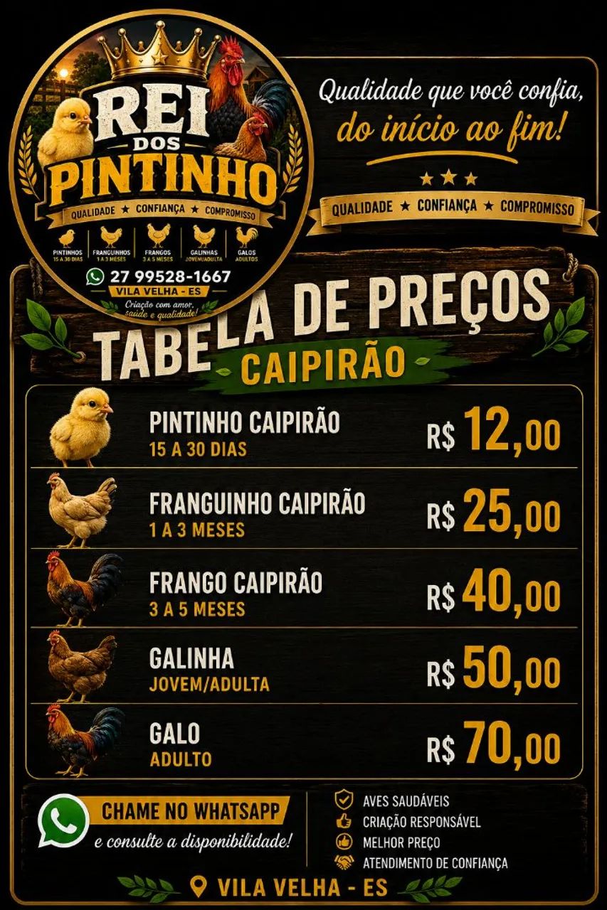 PINTINHOS, FRANGUINHOS, FRANGOS, GALINHAS E GALOS CAIPIRAS! - Foto 2