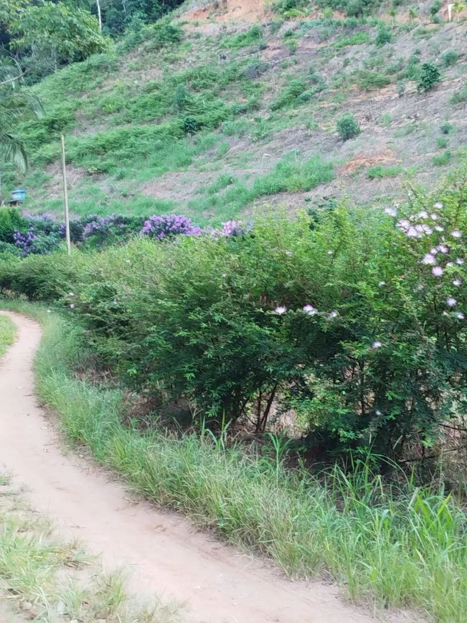 Linda chácara em marechal Floriano  - Foto 5