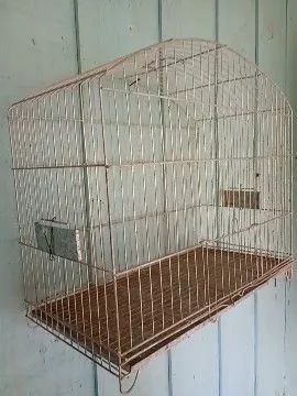 Gaiola - Foto 2