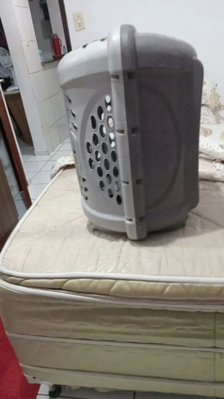 Casa de cachorro 