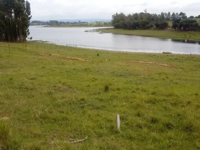 Chácara para lazer e pesca de 2300 mt A. total Carlópolis-Pr - Foto 3