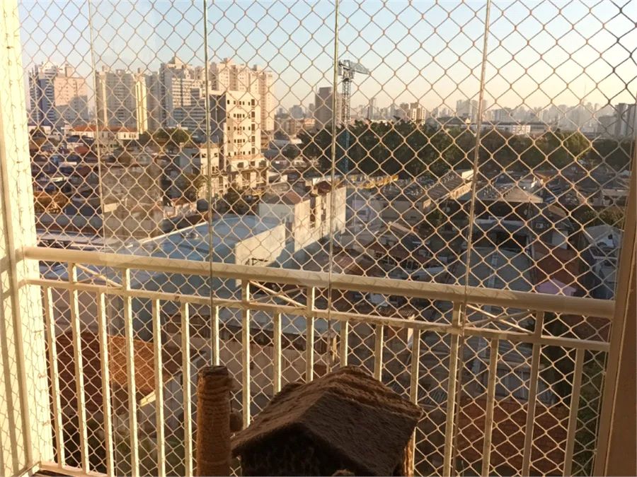 Apartamento com 3 quartos à venda em Mooca - SP - Foto 3