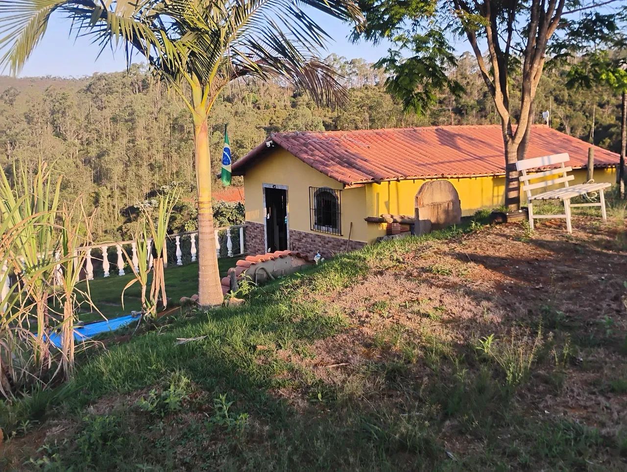 Vendo granja torreoes