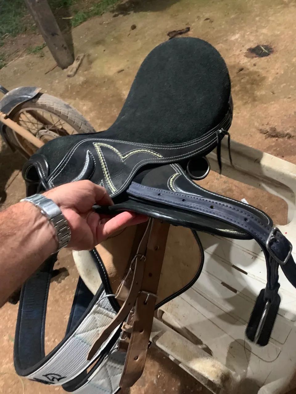 Cela de cavalo - Foto 5